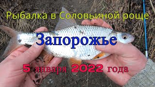 Рыбалка в Соловьиной роще (Запорожье) - 5 января 2022 года