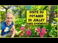 Visite du potager - 20 juillet 2021 - Vidéo éphémère