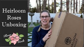 🌹Heirloom Roses Unboxing / Own Root Potted Roses (Giveaway Closed)