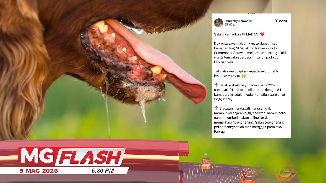 Lelaki Maut Akibat Rabies, Tak Digigit Tapi Suka Beri Makan Anjing Liar #MGFlash