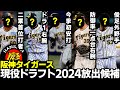 【現役ドラフト】阪神現役ドラフト2024候補がほぼ確定。放出選手と補強すべきポイントとは？