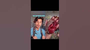 #POV: Everyone has a certain amount of time they can’t move…