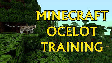 Minecraft Ocelot Taming!