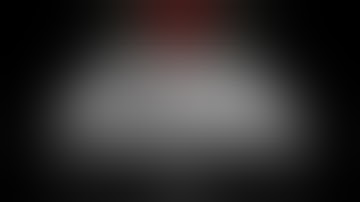 [GAME] Papers, Please. Endless Mode Part 3