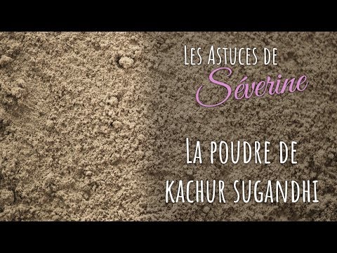 Kachur Sugandhi en poudre ( Kaempferia galanga )