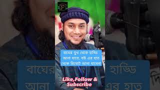 বাঘের মুখ থেকে হাড্ডি আনা যাবে, বউ এর হাত থেকে রিমোট আনা যাবেনা viral shorts shortvideo waz