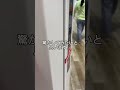 姉が可愛すぎる【姉がアホすぎて辛い】