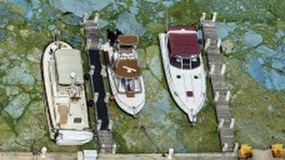 Florida's gov. declares state of emergency over toxic algae