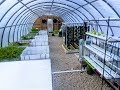 Calling BS on DIY Aquaponics Being Dead/Ugly