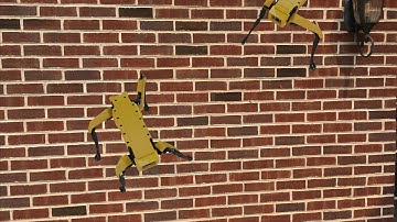 Spot mini from Boston Dynamics can climb walls!