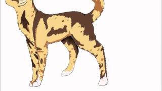 Spottedleaf Speed Paint