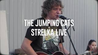 The Jumping Cats - Ain’t No Big Deal On You by Vladimir Rusinov 1,607 views 2 years ago 3 minutes, 8 seconds