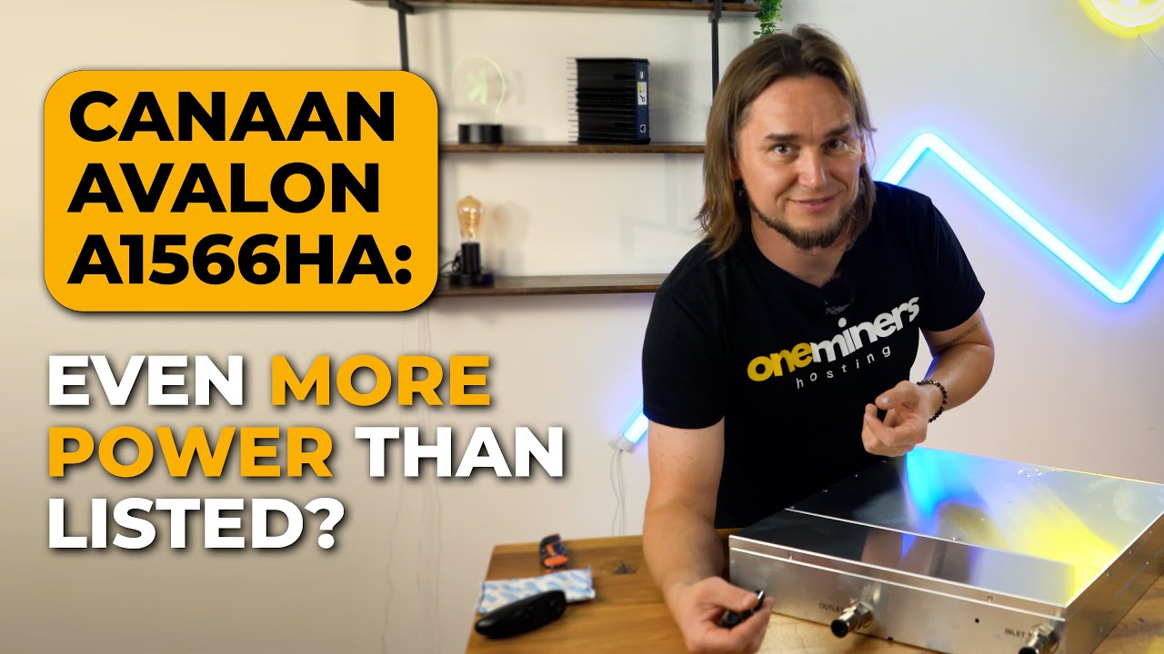 Earn $8900 a year? Unboxing the Canaan Avalon A1566HA