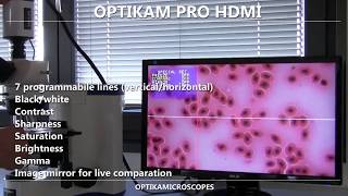 Dijital Mikroskop Kamera Sistemleri OPTIKAM PRO HDMI