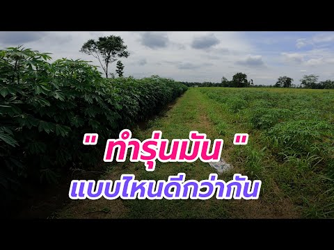 เปรียบเทียบการทำรุ่นมันแบบไหนดีกว่ากัน ลองดูแล้วไปปรับใช้ครับ