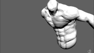 GregPlitt Timelapse - Torso