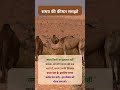 समय की कीमत समझो