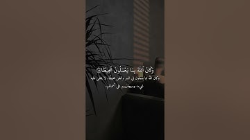 سورة النساء || القارئ أحمد حمادي 🤍✨️.