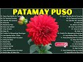 April Boy Regino,J Brothers,Rockstar 2, Renz Verano,Nyt Lumenda - New OPM Trending Pamatay Puso 2021