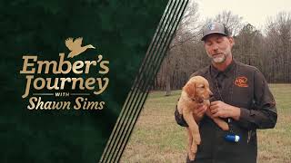 Introducing obstacles during T pattern drill I Ember’s Journey Episode 29