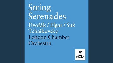 Serenade for Strings in E Major, Op. 22, B. 52: I. Moderato