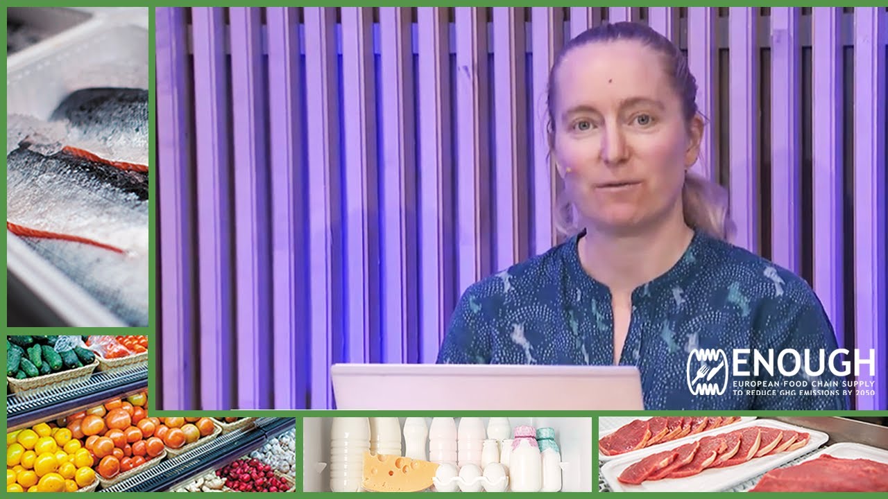 Sustainable Food Systems European Strategy Summit 2021 (Video Extract