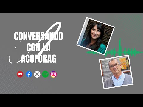 63. Pino piñonero: una nueva oportunidad con mirada internacional