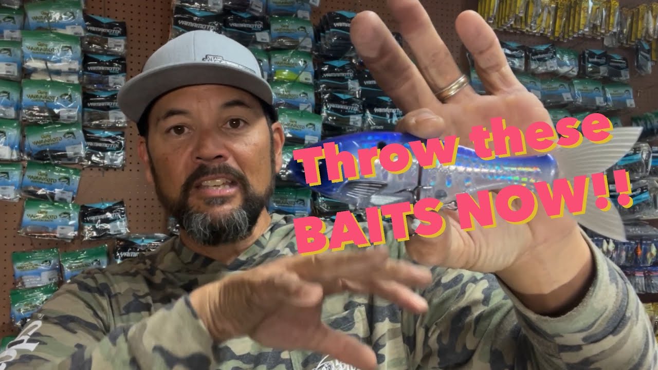 Throw Larger Swimbaits NOW! #swimbait #bassfishing #glidebait
