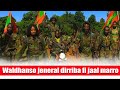 Waldhanso Jeneral Dirriba Fi Jaal Marro 