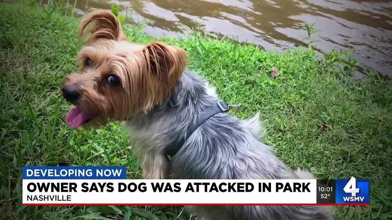 Owner says dog was attacked in park - YouTube