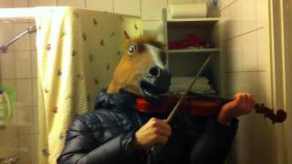 Violin and the horse