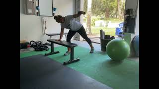 Incline Plank Modified S/A Reverse Fly