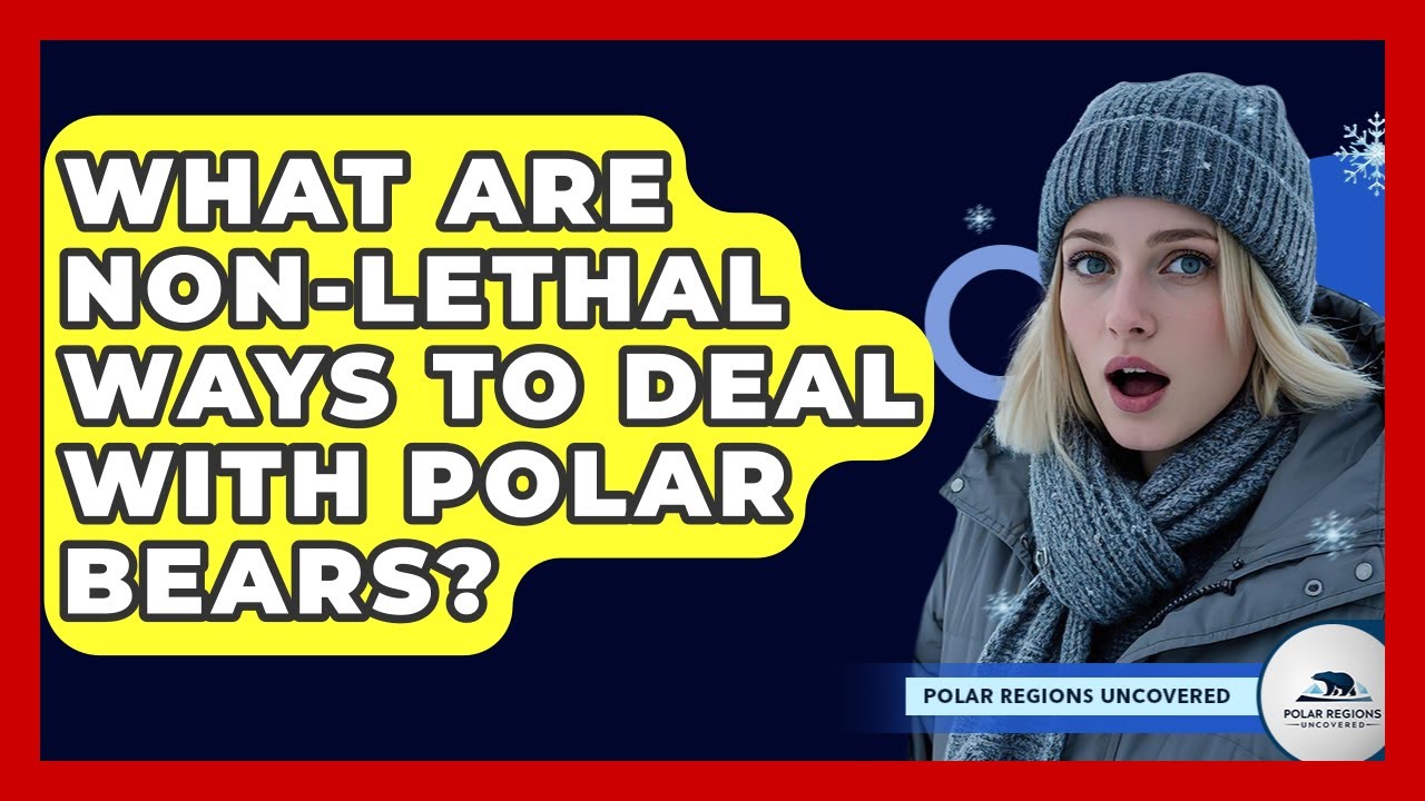 What Are Non-lethal Ways To Deal With Polar Bears? - Polar Regions Uncovered