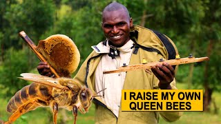 How To Rear Queen Bees And Increase Colonies Part 1   Process Explained