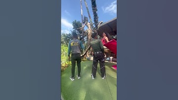 Thumbnail of #bali #indonesia #swing #trending #shorts #shortvideo #love #viral #travel ❤️🩷lub d vibes #fashion