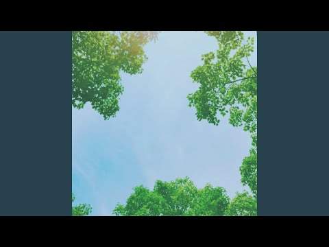 Watch Holy Cats on YouTube