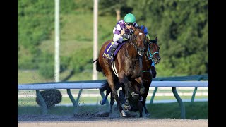 四*宮様 不来方賞2024 サンライズジパング 武豊 アクリルスタンド 岩手競馬 四*宮様 不来方賞2024 サンライズジパング 武豊 アクリル