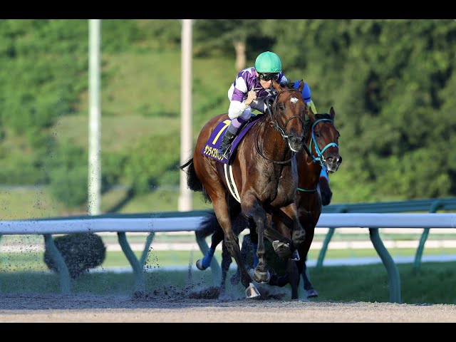 第56回不来方賞（JpnⅡ）◇R6（2024/9/3） - YouTube