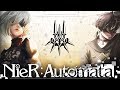 Краткий Экскурс: Nier Automata [B]