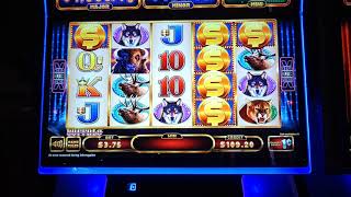 SUPER JACKPOT Deluxe Buffalo Slot Machine w/ Buffalos across the screen - new buffalo slot machine