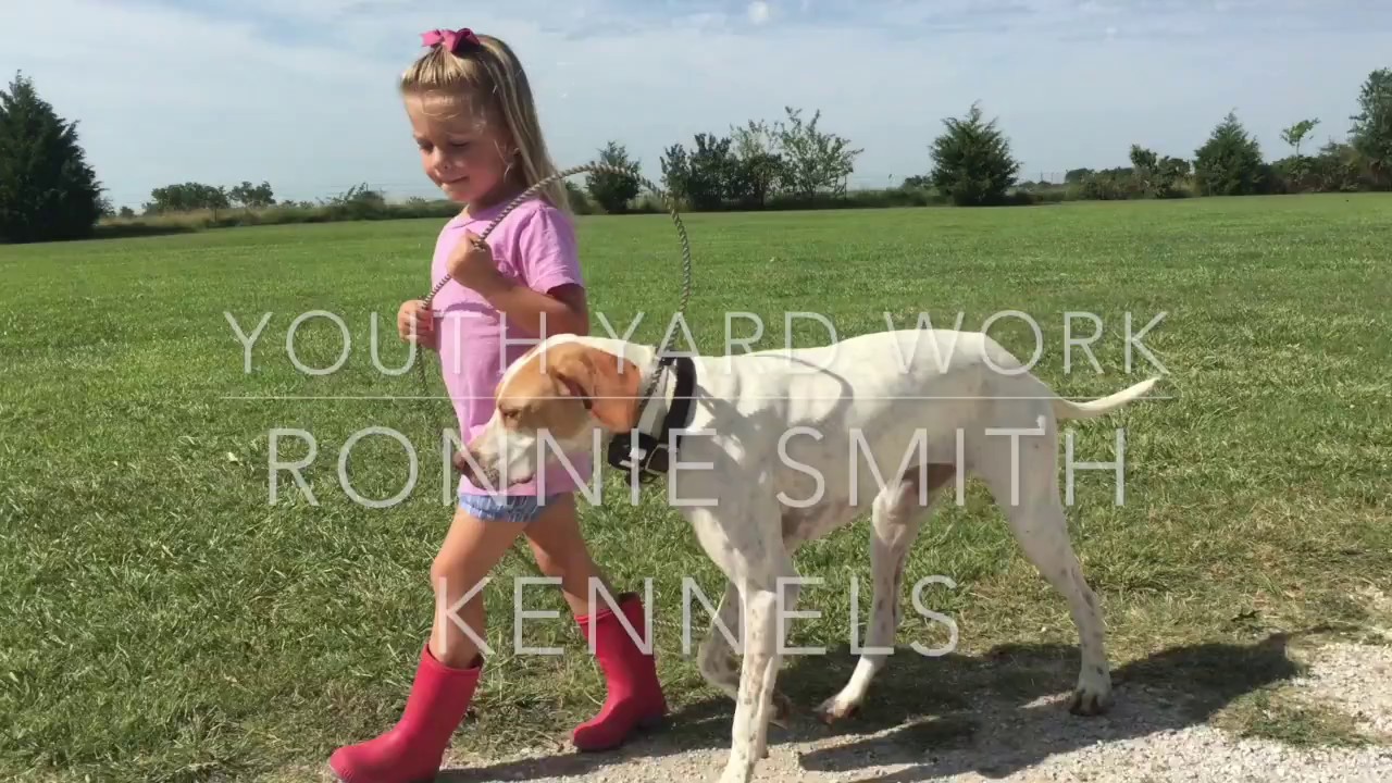 Yard work at Ronnie Smith Kennels YouTube