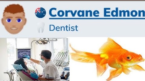 Finding Nemo Challenge Bitlife