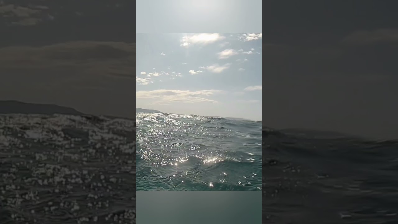 Surprise in the ocean. Incredible on the seabed. Dive video with discovery.