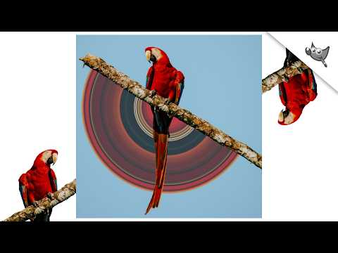 Circular Pixel Stretch Effect | GIMP 3