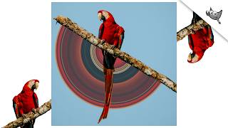 How to Create Circular Pixel Stretch Effect in GIMP