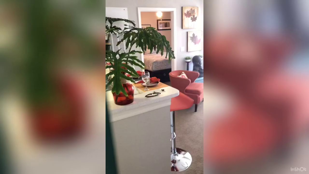 The Avenue Apartment Homes Ocoee Fl. (1 bedroom 1 bath ) YouTube