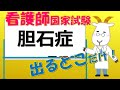 看護師国家試験出るとこだけ『胆石症』 聞いて覚える。#shorts