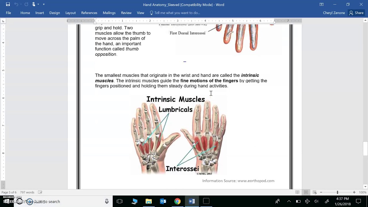 Hand Anatomy: Muscles - YouTube