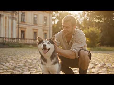 The Dog