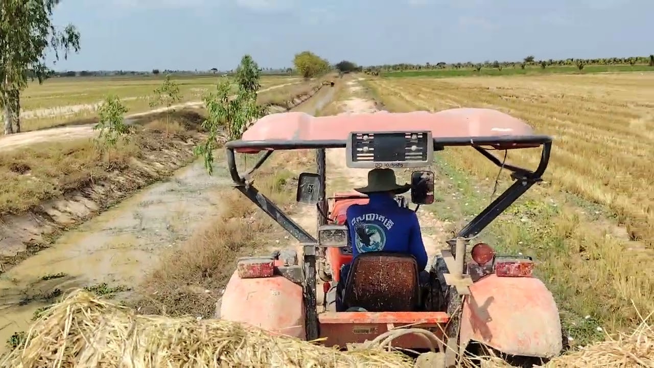 ដឹកចំបើង